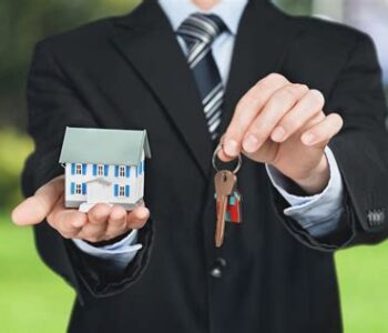 real estate consultant